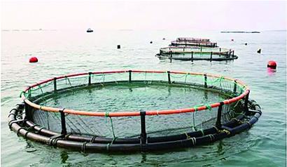 蓝色粮仓:海边的丰收景象