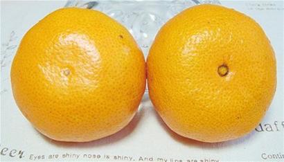 橙子挑选原则:个头要高肚脐要有