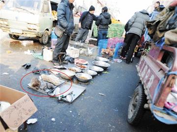 野鸡野兔野斑鸠现身早市