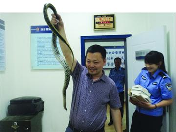 煤屋引蛇出洞拽出两米长虫