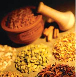 冬病夏治用三伏贴