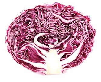 肾湿热的十大症状 m_420414.jpg