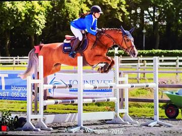 国际马术赛 青岛小嫚摘银