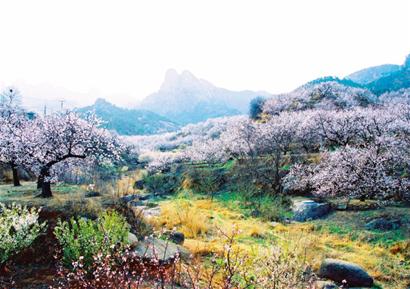 城阳旅游文化节会标识继续征集中