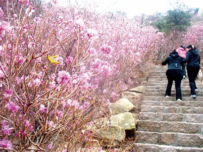 高州人口_高州粤龙山风景区图片(3)