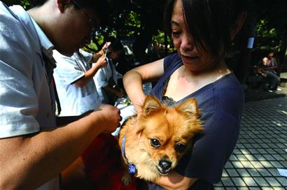 宠物犬打疫苗家门口就行