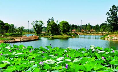 -青岛报纸电子版