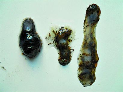 m_237330.jpg