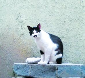 m_169050.jpg