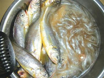 m_220903.jpg