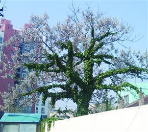 m_232907.jpg
