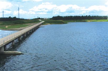 m_334999.jpg