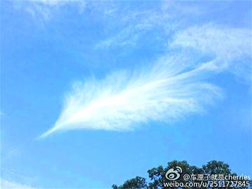 m_624123.jpg