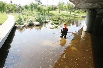 什么是龙须沟 m_152231.jpg